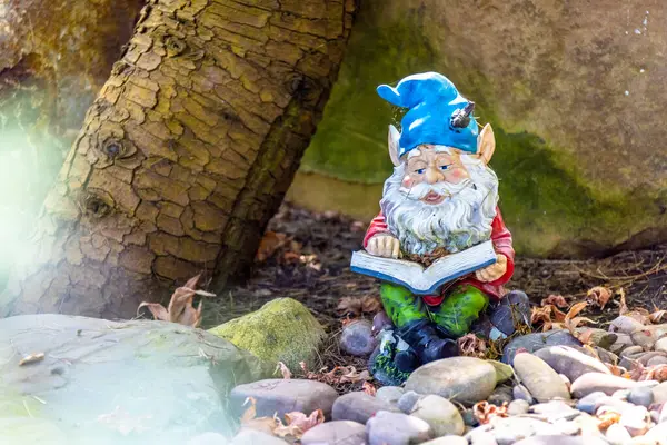 Edmonton, Alberta, Kanada. 27 Mayıs 2025. Mavi şapkalı bir bahçe cücesi Muttart Konservatuarı 'ndaki kayaların arasında tuhaf bir sükuneti somutlaştırıyor..