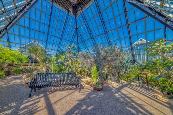 Edmonton, AB, Kanada. 27 Mayıs 2025. Huzurlu bir çöl bahçesi, yüksek cam piramidin altında büyür, Muttart Konservatuvarı içinde çarpıcı bir mimari mucizesi içinde botanik çeşitlilik sergiler.