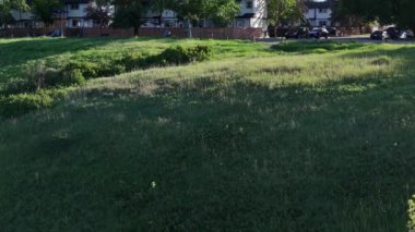 Calgary, Alberta, Kanada. 2 Haziran 2025. Canlı bir Calgary şehri gökyüzü altında gelişiyor, modern kuleler sergileniyor, yemyeşil, ve ikonik Calgary Kulesi.