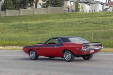 Calgary, Alberta, Kanada. 2 Temmuz 2025. Canlı, kırmızı renkli, güçlü bir araba, Dodge Challenger gibi, arka planda evler ve çimenli bir tepe ile banliyö sokaklarında geziniyor..