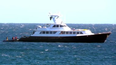 Cabo, Baja California Sur, Meksika. 10 Ağustos 2025. Lüks yat Nautilus Gallant Lady açık mavi sularda geziyor, mürettebat ve yolcular güneşli bir günün tadını çıkarıyorlar..