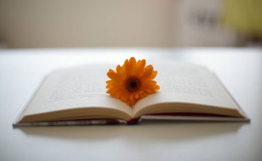 Kitabın Sayfaları Arasında Çiçek Baskılı. Yüksek kalite fotoğraf