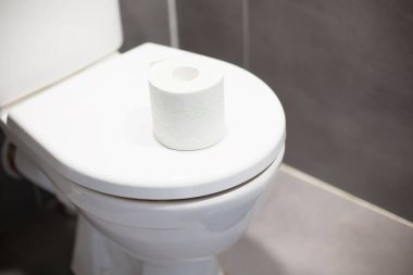  Tuvalet sahnesinde koltuğa bir rulo tuvalet kağıdı konmuş. Yüksek kaliteli fotoğraf..