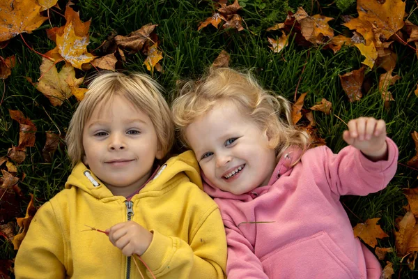공원을 아름다운 자연을 즐기고 시간에 귀여운 금발의 아이들 소녀들 — 스톡 사진