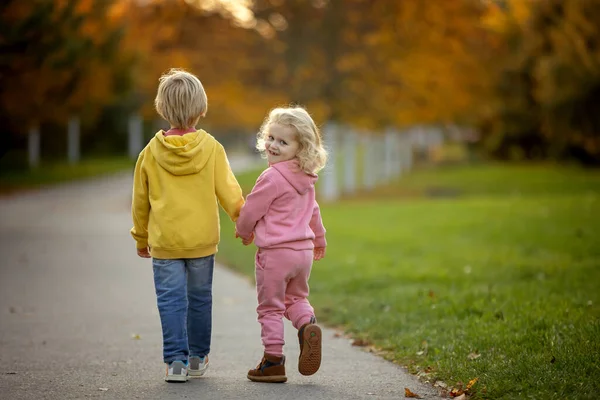 かわいい金髪の幼児の子供たち男の子と女の子 日没の秋の公園を歩いて 美しい自然 秋の時間を楽しんで — ストック写真