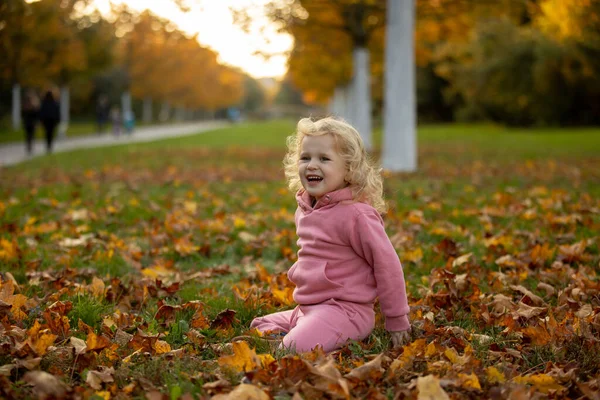 Roztomilé Blond Batole Děti Chlapec Dívka Procházky Podzimním Parku Při — Stock fotografie