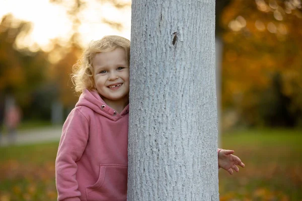 Cute Blond Maluch Dzieci Chłopiec Dziewczyna Spacery Jesiennym Parku Zachód — Zdjęcie stockowe