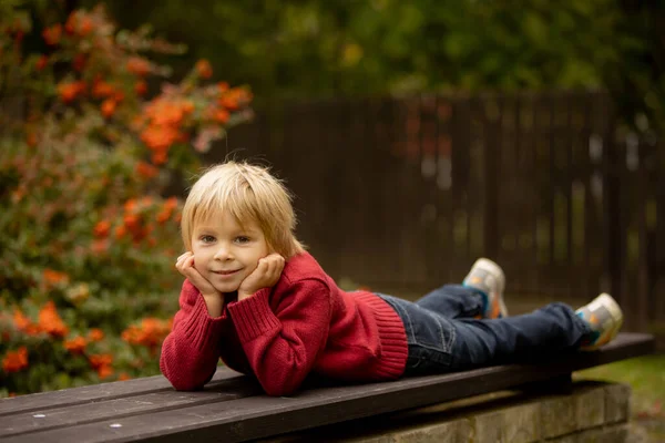 Retrato Outono Uma Criança Loira Bonita Parque Sorrindo Tempo Outono — Fotografia de Stock