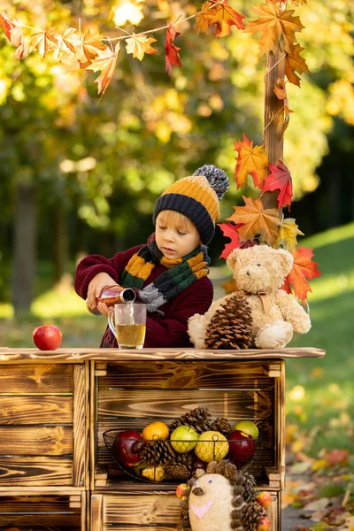 Χαριτωμένο Ξανθό Παιδί Νήπιο Στέκεται Δίπλα Στο Φθινόπωρο Ξύλινο Περίπτερο — Φωτογραφία Αρχείου