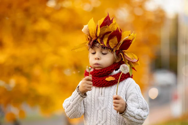Чарівна Маленька Дитина Блондинка Короною Листя Парку Осінній День Сонячний — стокове фото