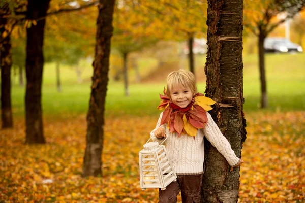 Adorable Little Child Blond Boy Crown Leaves Park Autumn Day — Stock Photo, Image