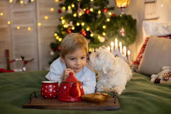 Симпатична Дошкільна Дитина Блондинка Собакою Грає Прикрашеній Різдвяній Кімнаті Вдома — стокове фото