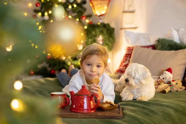Sevimli Anaokulu Çocuğu Evcil Köpeği Olan Sarışın Çocuk Evdeki Süslü — Stok fotoğraf