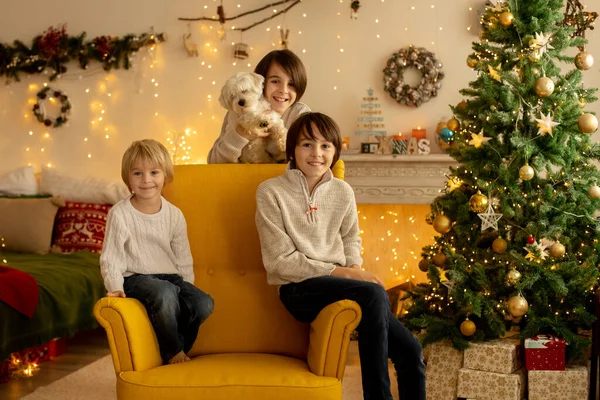 一个快乐的家庭 有三个孩子和一条狗 坐在家里过圣诞节 有舒适的气氛 有圣诞的时候 — 图库照片