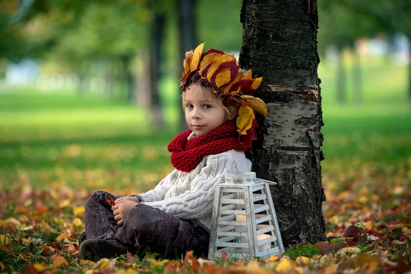 Sevimli Küçük Bir Çocuk Taç Giymiş Sarışın Bir Çocuk Sonbahar — Stok fotoğraf