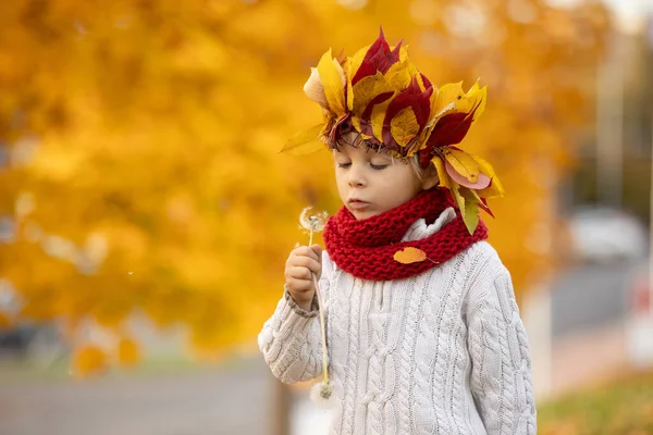 Rozkošné Malé Dítě Blonďatý Chlapec Korunou Listí Parku Podzim Slunečný — Stock fotografie