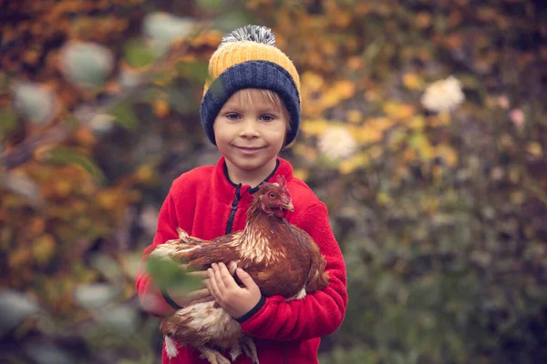かわいい就学前の子供 ブロンドの男の子 庭で鶏を抱きしめる秋 — ストック写真