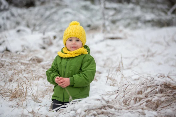 Tatlı Çocuk Soğuk Karlı Bir Günde Kış Ormanında Oynuyor — Stok fotoğraf