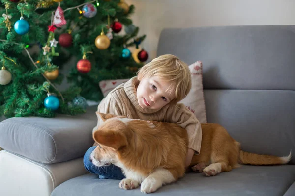 Słodkie Dziecko Chłopiec Przytulić Dziecko Szczeniak Corgi Pies Domu Boże — Zdjęcie stockowe