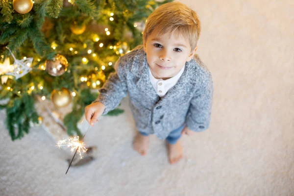 Roztomilé Předškolní Dítě Blonďatý Chlapec Domácím Psem Hraní Zdobeném Vánočním — Stock fotografie