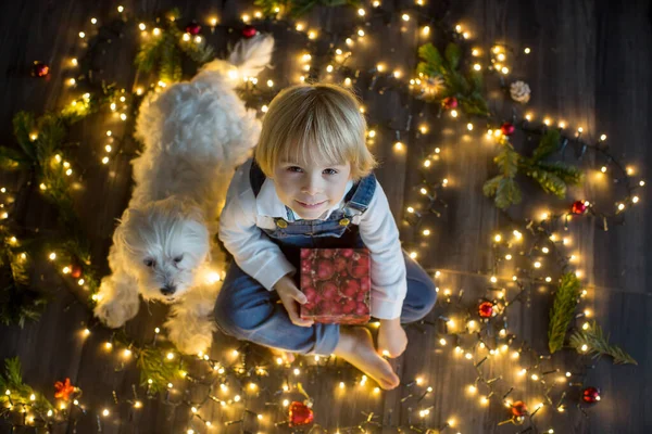 Toddler Child Cute Blond Boy Sitting Floor Pet Dog Christmas — Stock Photo, Image