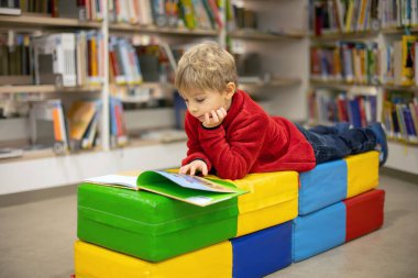 Adorable little child, boy, sitting in library, reading book and choosing what to lend, kid in book store
