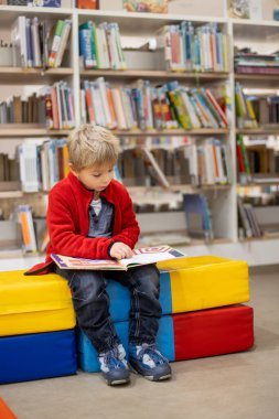 Adorable little child, boy, sitting in library, reading book and choosing what to lend, kid in book store