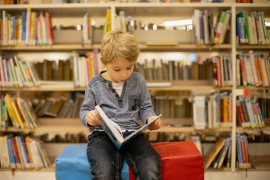 Adorable little child, boy, sitting in library, reading book and choosing what to lend, kid in book store