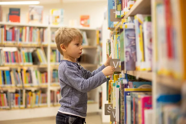 Adorable Little Child Boy Sitting Library Reading Book Choosing What — Photo