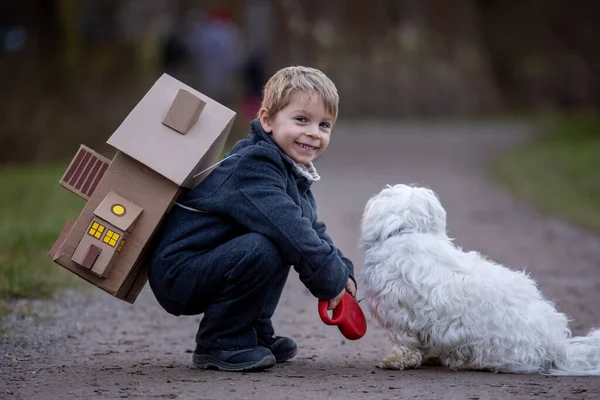 Little Child Blond Boy Pet Dog Carying Home His Back — Stok fotoğraf