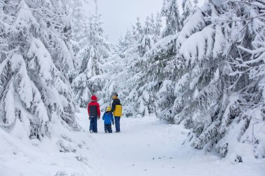 Tatlı mutlu çocuklar, kardeşlerim, ormandaki derin karda oynuyorlar, buzlu ağaçlar ve güzel manzaralar.