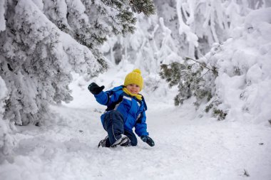 Tatlı mutlu çocuk, ormanın derinliklerinde karda oynuyor.
