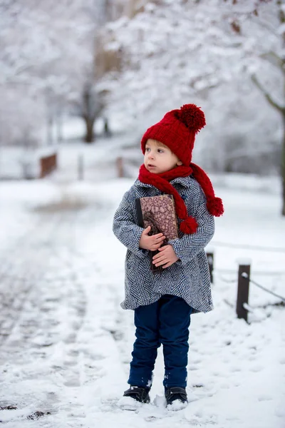 Beautiful Toddler Child Cute Boy Playing Snowy Park Winter Time — Stock Photo, Image