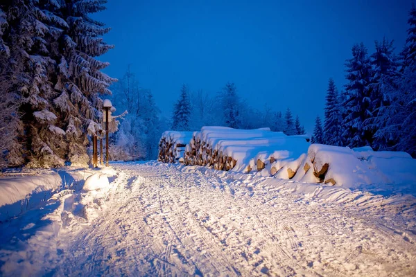 Inverno Nevoso Paesaggio Notturno Meravigliosa Foresta Vicino Alla Strada — Foto Stock
