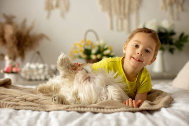 Evcil köpeğiyle birlikte evde yatakta oynayan sevimli bir anaokulu çocuğu.