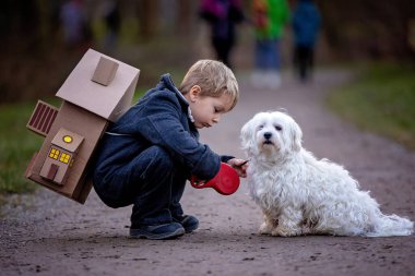 Little child, blond boy with pet dog, carying home on his back, kid, having paper house, emotional shot