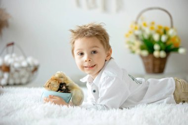 Yeni doğmuş yavrularla evde sevimli bir çocuk, güneşli bir odada eğleniyor, sevimli bir çocuk ve hayvan arkadaşı.