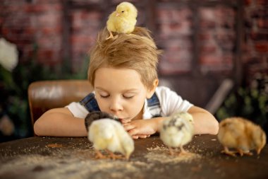 Yeni doğmuş yavrularla evde sevimli bir çocuk, güneşli bir odada eğleniyor, sevimli bir çocuk ve hayvan arkadaşı.