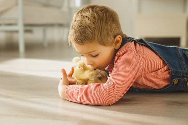 Yeni doğmuş yavrularla evde sevimli bir çocuk, güneşli bir odada eğleniyor, sevimli bir çocuk ve hayvan arkadaşı.