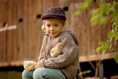 Güzel bir çocuk, klasik elbiseli bir çocuk bahçede, bahçedeki çiçek açan ağacın altında, gün batımında parkta küçük piliçlerle oynuyor.