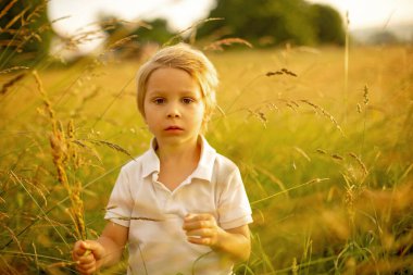 Beautiful child, boy in a field on sunset, after rain, summertime