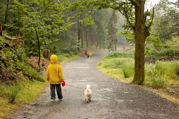 Father Three Children Pet Maltese Dog Walking Forest Heavy Rain — Fotografia de Stock