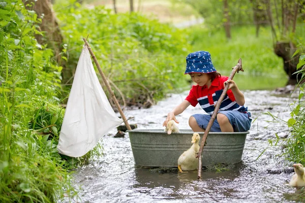 Schattig Kind Jongen Spelen Met Boot Eenden Een Kleine Rivier — Stockfoto