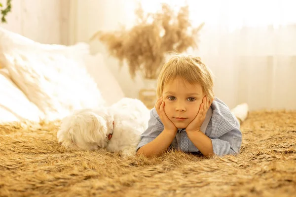 Cute Little Boy His Dog Bed Playing Summer Day — Stock Photo, Image