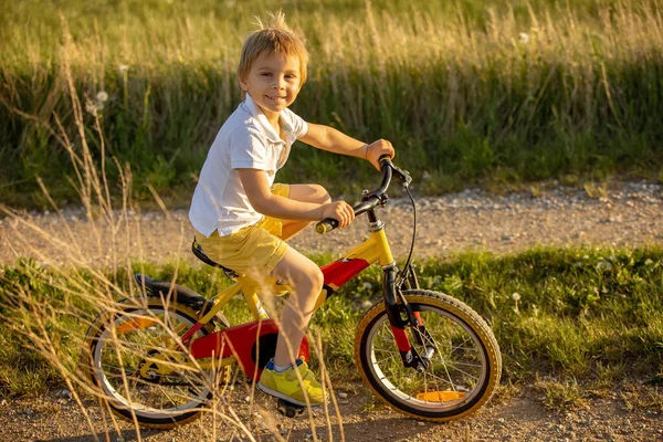 Aranyos Gyermek Kisállat Kutya Lovaglás Kerékpár Egy Vidéki Területen Naplementekor — Stock Fotó