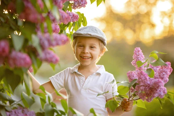 Stylish Preshcool Child Cute Boy Enjoying Lilac Flowers Bush Blooming — Stock Photo, Image