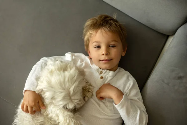 Cute Blond Child Toddler Boy Lying Couch His Pet Dog — Stock Photo, Image