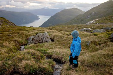 People, adult with kids and pet dog, hiking mount Hoven, enjoying the splendid view over Nordfjord from the Loen skylift