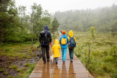 Family, enjoying the hike to Preikestolen, the Pulpit Rock in Lysebotn, Norway on a rainy day, toddler climbing with his pet dog the one of the most scenic fjords in Norway