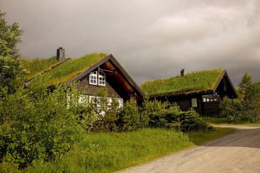 village with typical houses for Southwest Norway on the shore of Lysebotn fjord, near Kjerag